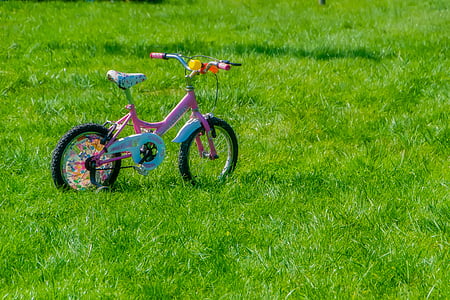 pink and teal bike on grasss thumbnail