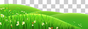 Meadow Euclidean , Transparent Flowers and Grass , hills PNG clipart