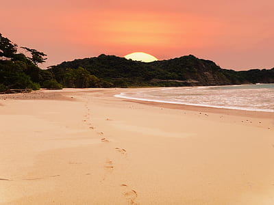 footprints on sand beside body of water thumbnail