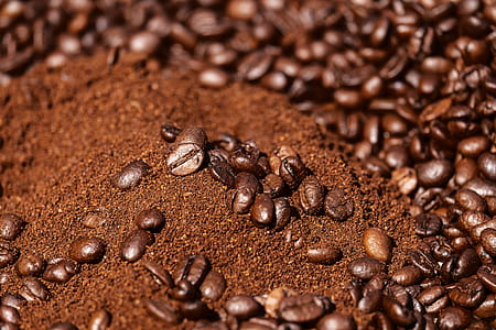 close-up photo of coffee grains thumbnail