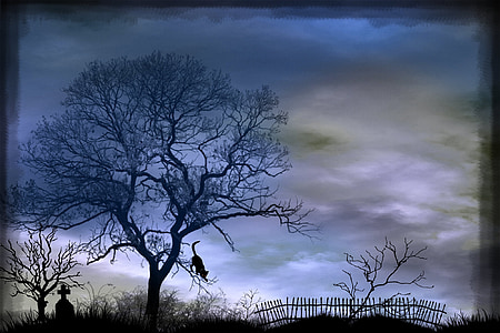 silhouette of cat on leafless tree thumbnail