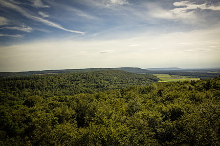 Aerial Photography of Green Trees thumbnail