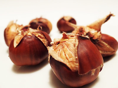 five brown hazelnuts on white surface thumbnail