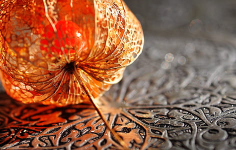 close photo of lighted orange decor thumbnail