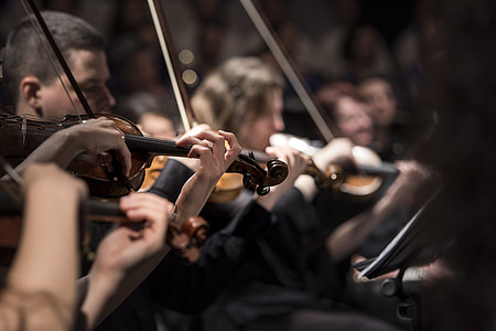 selective focus photograph of a band playing violin thumbnail