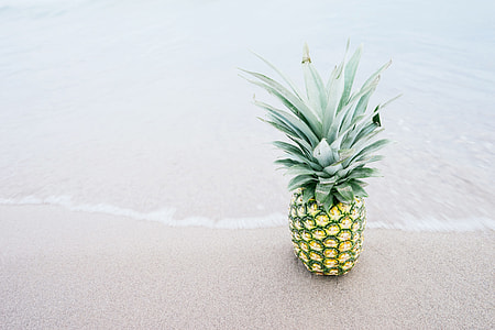 pineapple on beach shore thumbnail