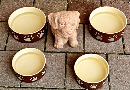 dog figurine on center of four pet bowls thumbnail
