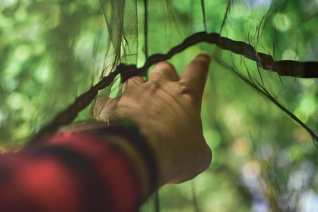 person touching black net selective focus photography thumbnail