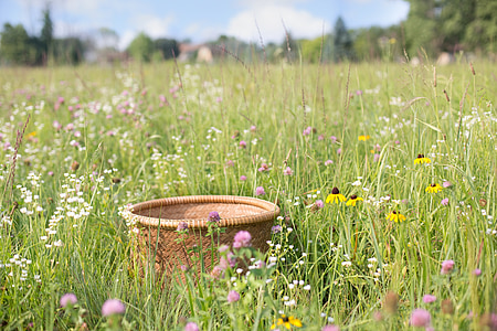 brown wicker basket on garden thumbnail