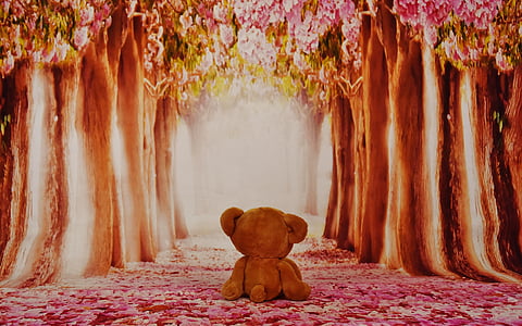 brown bear plush toy between trees thumbnail