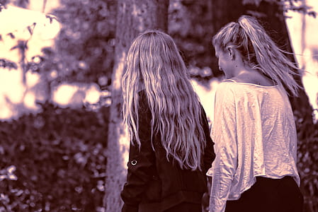 two women walking near tree thumbnail