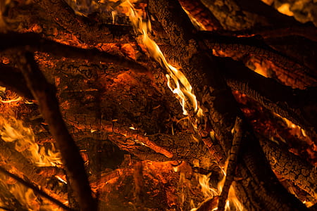 burning wood thumbnail