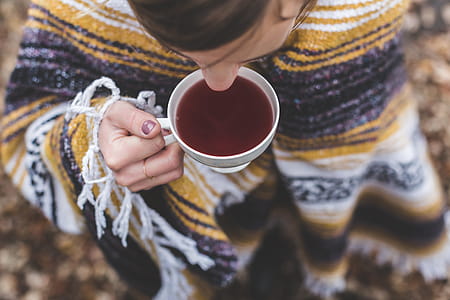 Stay Cozy, Drink Tea Photo thumbnail