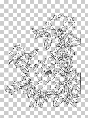 Drawing, Peony flower line drawing PNG clipart