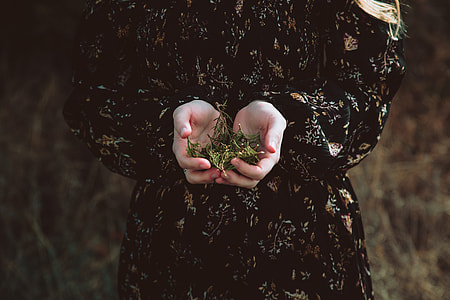 person holding green leaf thumbnail