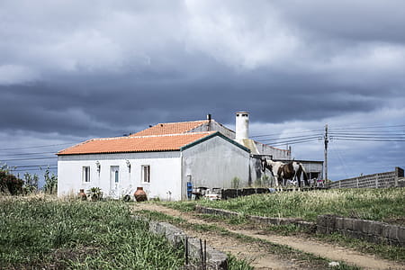 White Concrete House Surrounded by Green Grass thumbnail