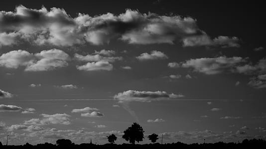 Silhouette of Trees Under Nimbus Clouds during Daytime thumbnail