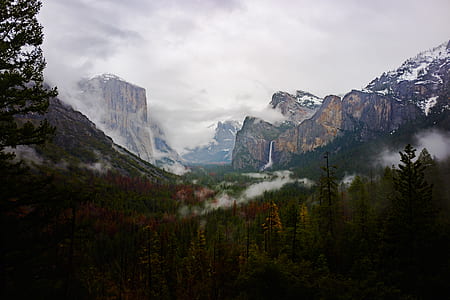 tall trees and mountains in distance during daytime thumbnail