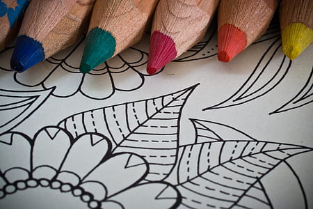white and black floral coloring page thumbnail