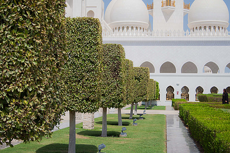 photograph of white mosque beside trees thumbnail