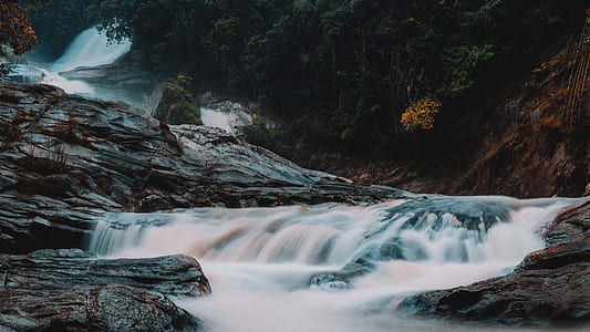 photography of river near tree thumbnail