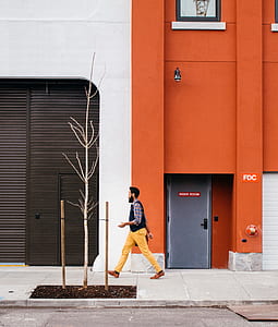 man walking beside concrete wall near tree during daytime thumbnail