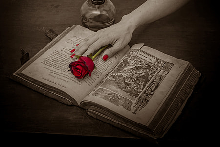 selective color photography of person holding red rose on opened book thumbnail
