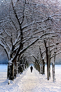 Man in Black Jacket Walking on Snowy Tree during Daytime thumbnail