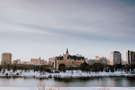 buildings behind trees and body of water thumbnail
