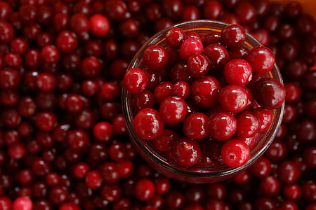 Red berries thumbnail