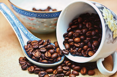coffee beans inside mug and panel thumbnail