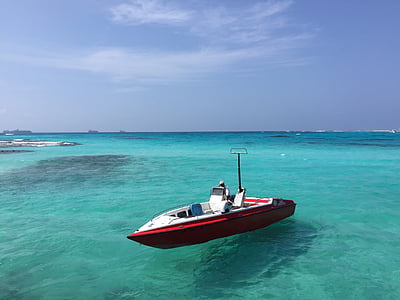 white and red motorized boat on body of water thumbnail