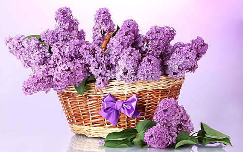 basket of lavander flowers thumbnail
