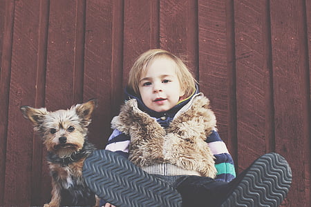 boy and Yorkshire terrier puppy leaning on red fence thumbnail