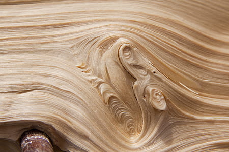 wood, wood chop, split, grain, branch, sprouted grains thumbnail