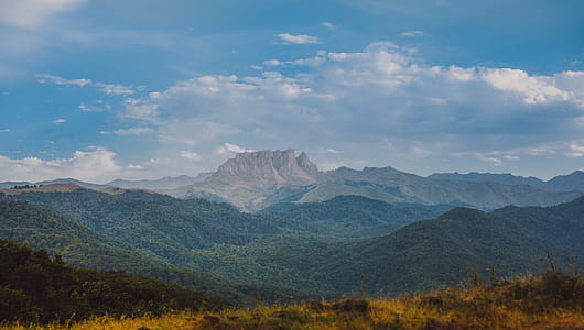 Green Forest With Brown Rock Formation Background thumbnail
