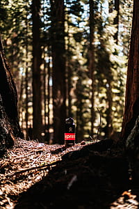 Supreme bottle on ground thumbnail