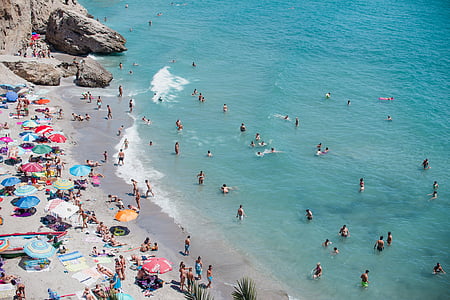 people swimming on blue beach thumbnail