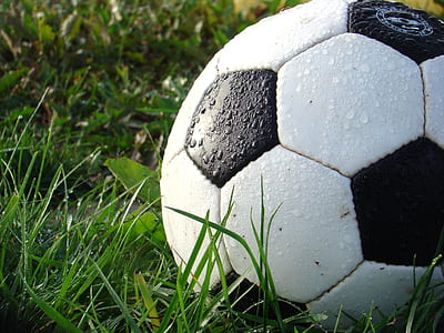 dew on white soccer ball on green grass during daytime thumbnail