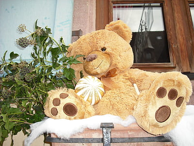 brown bear plush thumbnail
