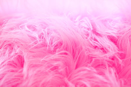 Pink Fur Closeup Photography thumbnail