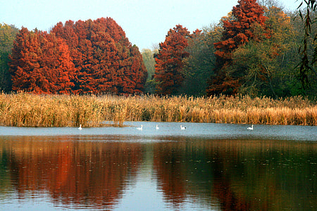 body of water during daytime thumbnail