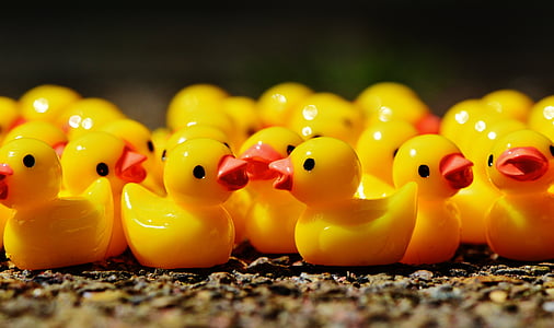 rubber duck lot thumbnail