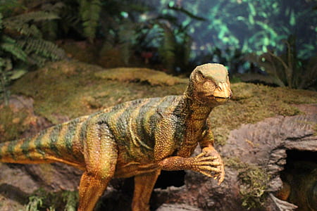 close-up photo of brown and green dinosaur near brown tree log thumbnail