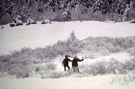 Winter landscape with snow at Acadia National Park, Maine thumbnail