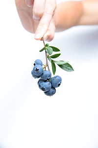 person holding blue berry thumbnail