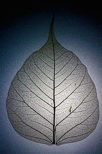 gray leaf decor thumbnail