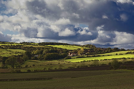 Green Grassland thumbnail
