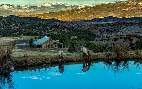 brown house near mountain peak thumbnail