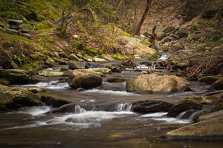 rocks and body of water near trees during daytime thumbnail